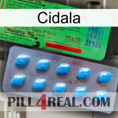 Cidala new03